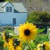Capetown Magazine