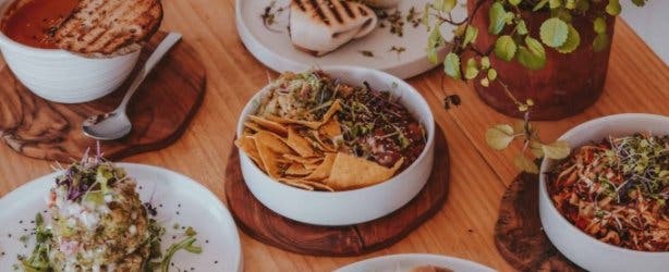 Wildsprout_Kenilworth_Cape_Town_meal