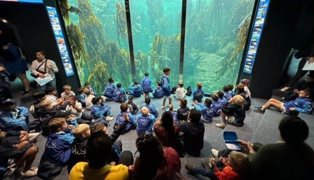 Two Oceans Aquarium school tours
