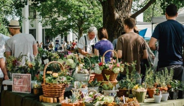 /weekend Blouberg market