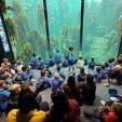 Two Oceans Aquarium school tours