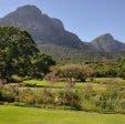 Spring Exhibition Constantiaberg Art Society 3 Kirstenbosch