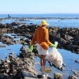 Two Oceans Aquarium clean up 